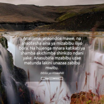 Picture 05 - Isaya 5:2 SWHULB - Analilima, anaondoa mawe, na anaotesha aina ya - Bible Verse Picture