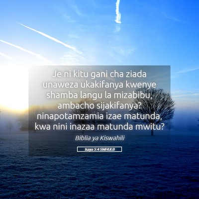 Picture 05 - Isaya 5:4 SWHULB - Je ni kitu gani cha ziada unaweza ukakifanya - Bible Verse Picture