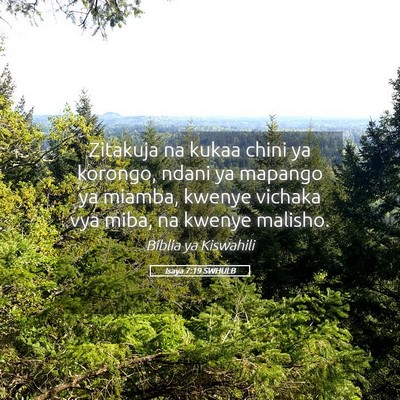 Picture 05 - Isaya 7:19 SWHULB - Zitakuja na kukaa chini ya korongo, ndani ya - Bible Verse Picture
