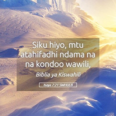 Picture 05 - Isaya 7:21 SWHULB - Siku hiyo, mtu atahifadhi ndama na na kondoo - Bible Verse Picture