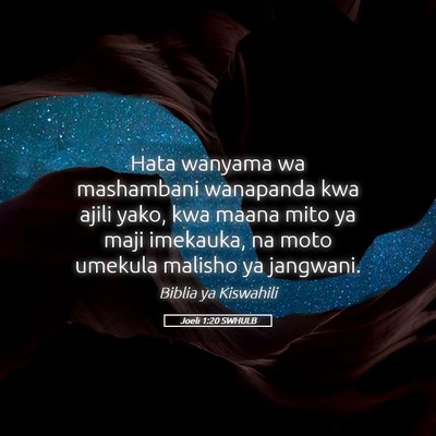Picture 05 - Joeli 1:20 SWHULB - Hata wanyama wa mashambani wanapanda kwa ajili - Bible Verse Picture