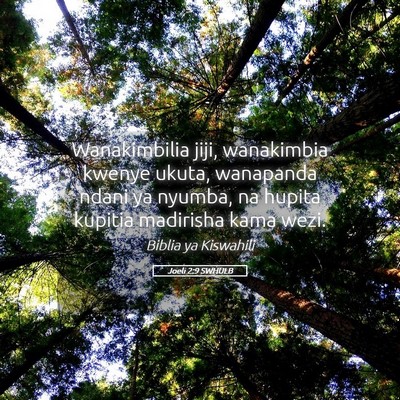 Picture 05 - Joeli 2:9 SWHULB - Wanakimbilia jiji, wanakimbia kwenye ukuta, - Bible Verse Picture