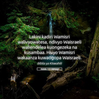 Picture 05 - Kutoka 1:12 SWHULB - Lakini kadiri Wamisri walivyowatesa, ndivyo - Bible Verse Picture