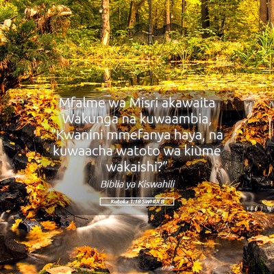 Picture 05 - Kutoka 1:18 SWHULB - Mfalme wa Misri akawaita Wakunga na kuwaambia, - Bible Verse Picture