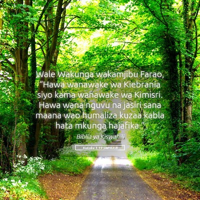 Picture 05 - Kutoka 1:19 SWHULB - Wale Wakunga wakamjibu Farao, “Hawa wanawake wa - Bible Verse Picture