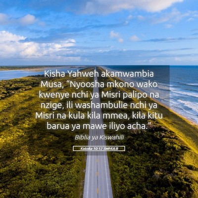 Picture 05 - Kutoka 10:12 SWHULB - Kisha Yahweh akamwambia Musa, “Nyoosha mkono - Bible Verse Picture