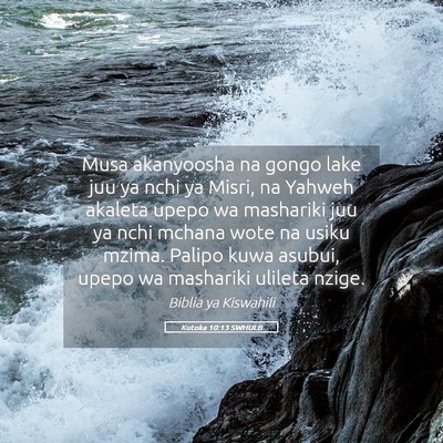 Picture 05 - Kutoka 10:13 SWHULB - Musa akanyoosha na gongo lake juu ya nchi ya - Bible Verse Picture