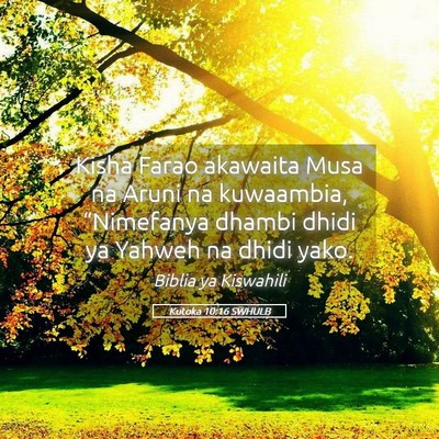 Picture 05 - Kutoka 10:16 SWHULB - Kisha Farao akawaita Musa na Aruni na kuwaambia, - Bible Verse Picture