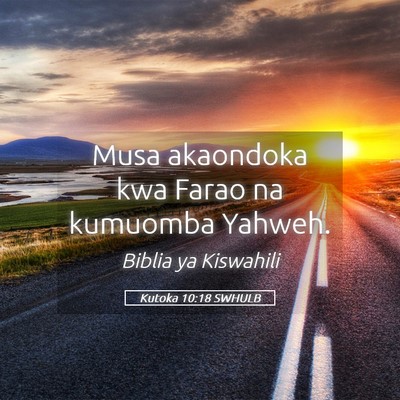 Picture 05 - Kutoka 10:18 SWHULB - Musa akaondoka kwa Farao na kumuomba - Bible Verse Picture