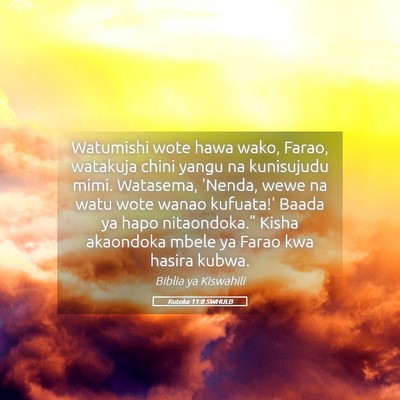 Picture 05 - Kutoka 11:8 SWHULB - Watumishi wote hawa wako, Farao, watakuja chini - Bible Verse Picture