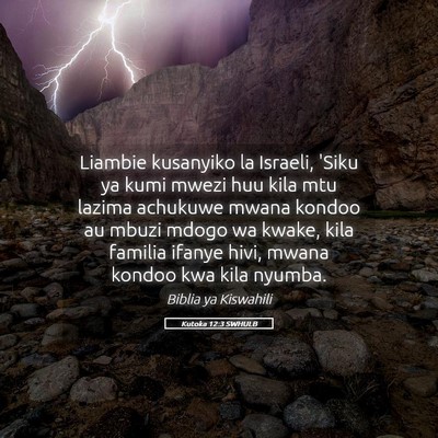 Picture 05 - Kutoka 12:3 SWHULB - Liambie kusanyiko la Israeli, 'Siku ya kumi mwezi - Bible Verse Picture