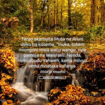 Picture 05 - Kutoka 12:31 SWHULB - Farao akamuita Musa na Aruni usiku na kusema, - Bible Verse Picture