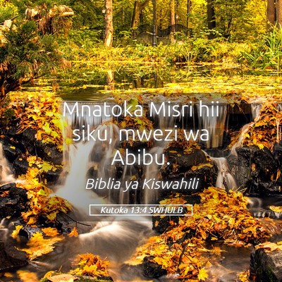 Picture 05 - Kutoka 13:4 SWHULB - Mnatoka Misri hii siku, mwezi wa - Bible Verse Picture