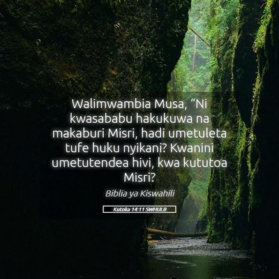 Picture 05 - Kutoka 14:11 SWHULB - Walimwambia Musa, “Ni kwasababu hakukuwa na - Bible Verse Picture