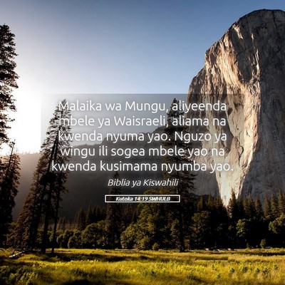 Picture 05 - Kutoka 14:19 SWHULB - Malaika wa Mungu, aliyeenda mbele ya Waisraeli, - Bible Verse Picture