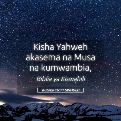 Picture 05 - Kutoka 16:11 SWHULB - Kisha Yahweh akasema na Musa na - Bible Verse Picture