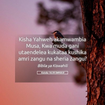 Picture 05 - Kutoka 16:28 SWHULB - Kisha Yahweh akamwambia Musa, Kwa muda gani - Bible Verse Picture