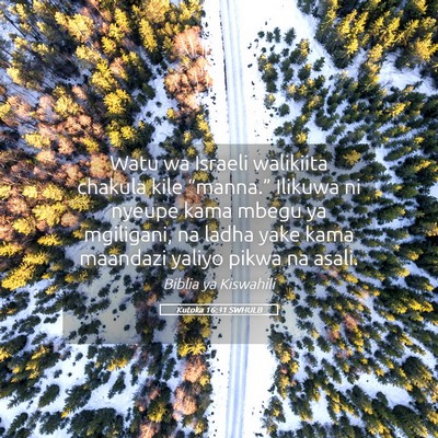 Picture 05 - Kutoka 16:31 SWHULB - Watu wa Israeli walikiita chakula kile - Bible Verse Picture