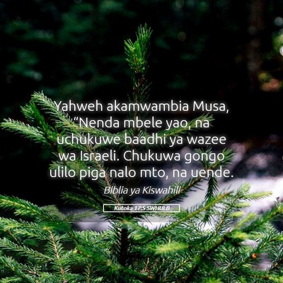 Picture 05 - Kutoka 17:5 SWHULB - Yahweh akamwambia Musa, “Nenda mbele yao, na - Bible Verse Picture