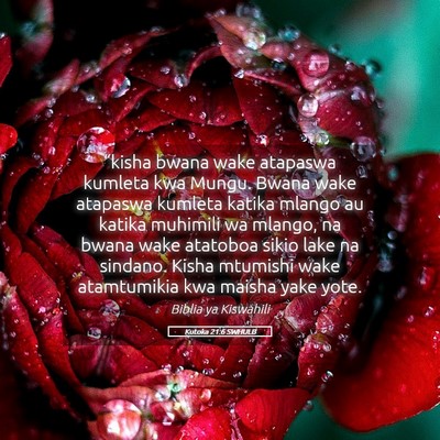 Picture 05 - Kutoka 21:6 SWHULB - “kisha bwana wake atapaswa kumleta kwa Mungu. - Bible Verse Picture