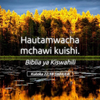 Picture 05 - Kutoka 22:18 SWHULB - Hautamwacha mchawi - Bible Verse Picture