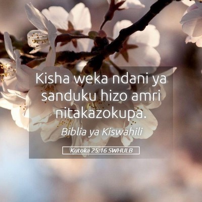 Picture 05 - Kutoka 25:16 SWHULB - Kisha weka ndani ya sanduku hizo amri - Bible Verse Picture