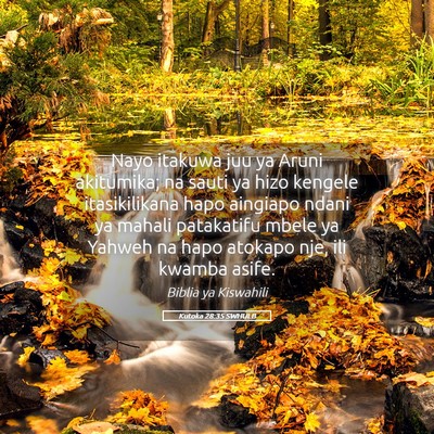 Picture 05 - Kutoka 28:35 SWHULB - Nayo itakuwa juu ya Aruni akitumika; na sauti ya - Bible Verse Picture