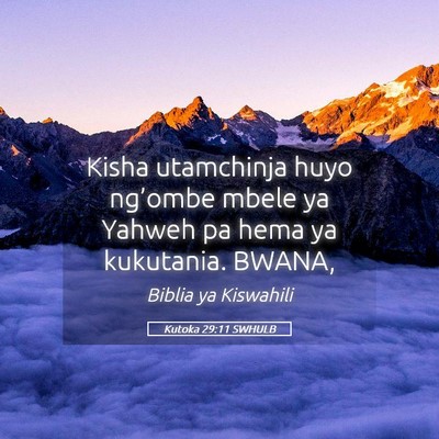 Picture 05 - Kutoka 29:11 SWHULB - Kisha utamchinja huyo ng’ombe mbele ya Yahweh - Bible Verse Picture