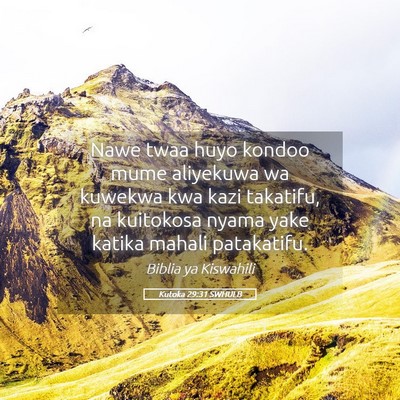 Picture 05 - Kutoka 29:31 SWHULB - Nawe twaa huyo kondoo mume aliyekuwa wa kuwekwa - Bible Verse Picture