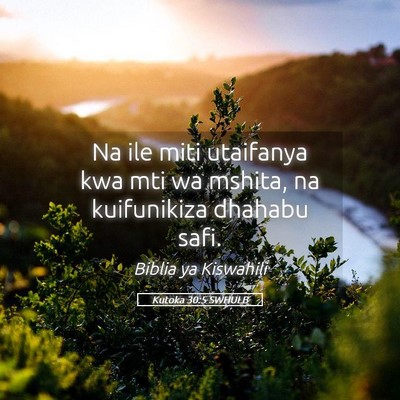 Picture 05 - Kutoka 30:5 SWHULB - Na ile miti utaifanya kwa mti wa mshita, na - Bible Verse Picture