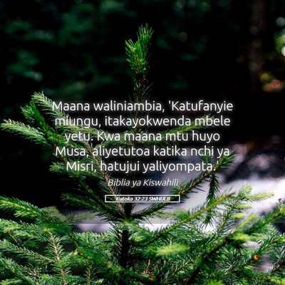 Picture 05 - Kutoka 32:23 SWHULB - Maana waliniambia, 'Katufanyie miungu, - Bible Verse Picture