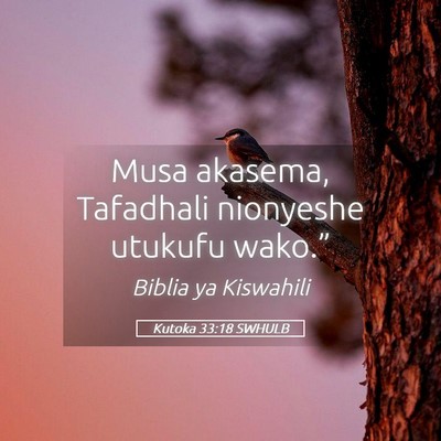Picture 05 - Kutoka 33:18 SWHULB - Musa akasema, Tafadhali nionyeshe utukufu - Bible Verse Picture