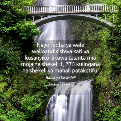 Picture 05 - Kutoka 38:25 SWHULB - Nayo fedha ya wale walioandikishwa kati ya - Bible Verse Picture