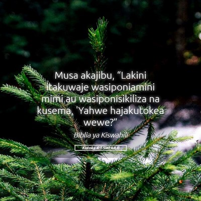 Picture 05 - Kutoka 4:1 SWHULB - Musa akajibu, “Lakini itakuwaje wasiponiamini - Bible Verse Picture