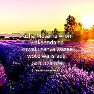 Picture 05 - Kutoka 4:29 SWHULB - Kisha Musa na Aroni wakaenda na kuwakusanya wazee - Bible Verse Picture