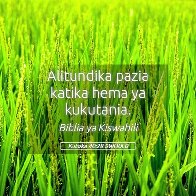 Picture 05 - Kutoka 40:28 SWHULB - Alitundika pazia katika hema ya - Bible Verse Picture