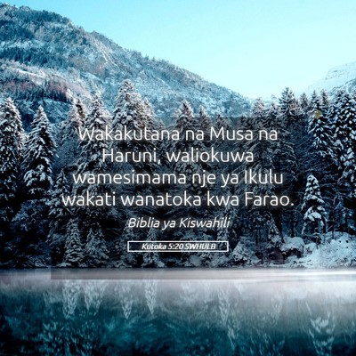 Picture 05 - Kutoka 5:20 SWHULB - Wakakutana na Musa na Haruni, waliokuwa - Bible Verse Picture