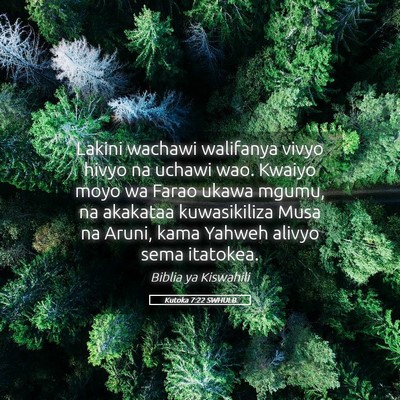 Picture 05 - Kutoka 7:22 SWHULB - Lakini wachawi walifanya vivyo hivyo na uchawi - Bible Verse Picture
