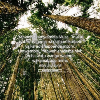 Picture 05 - Kutoka 8:20 SWHULB - Yahweh akamwambia Musa, “Inuka asubui mapema na - Bible Verse Picture