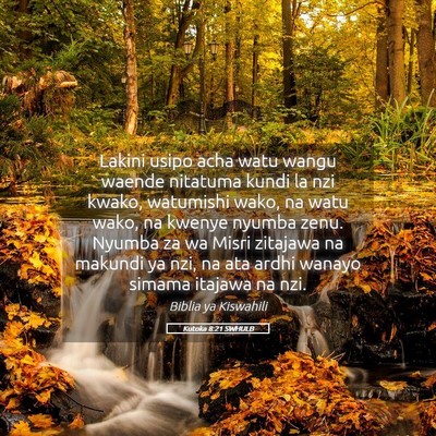 Picture 05 - Kutoka 8:21 SWHULB - Lakini usipo acha watu wangu waende nitatuma - Bible Verse Picture