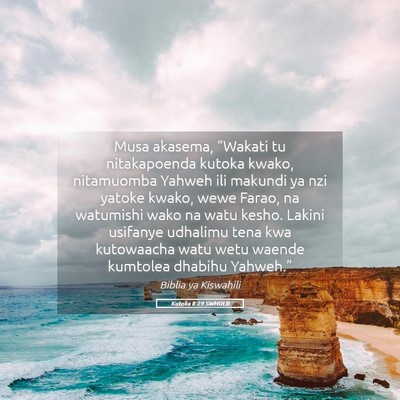 Picture 05 - Kutoka 8:29 SWHULB - Musa akasema, “Wakati tu nitakapoenda kutoka - Bible Verse Picture