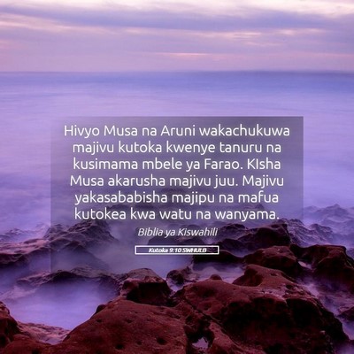 Picture 05 - Kutoka 9:10 SWHULB - Hivyo Musa na Aruni wakachukuwa majivu kutoka - Bible Verse Picture