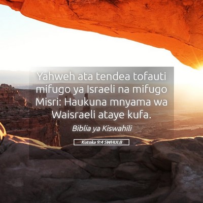 Picture 05 - Kutoka 9:4 SWHULB - Yahweh ata tendea tofauti mifugo ya Israeli na - Bible Verse Picture