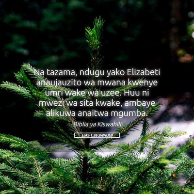 Picture 05 - Luka 1:36 SWHULB - Na tazama, ndugu yako Elizabeti anaujauzito wa - Bible Verse Picture