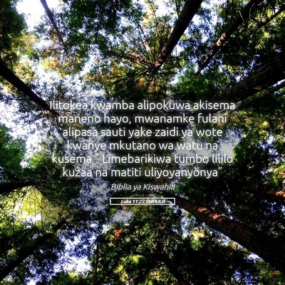Picture 05 - Luka 11:27 SWHULB - Ilitokea kwamba alipokuwa akisema maneno hayo, - Bible Verse Picture
