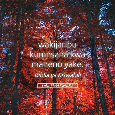 Picture 05 - Luka 11:54 SWHULB - wakijaribu kumnsana kwa maneno - Bible Verse Picture