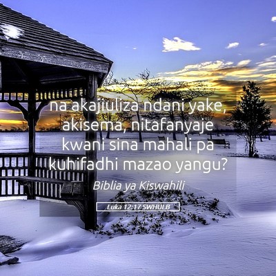 Picture 05 - Luka 12:17 SWHULB - na akajiuliza ndani yake, akisema, nitafanyaje - Bible Verse Picture