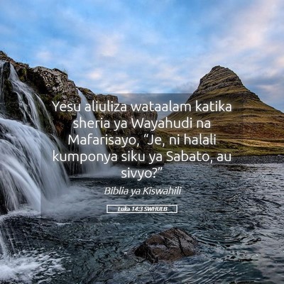Picture 05 - Luka 14:3 SWHULB - Yesu aliuliza wataalam katika sheria ya Wayahudi - Bible Verse Picture