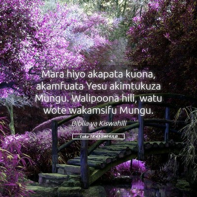 Picture 05 - Luka 18:43 SWHULB - Mara hiyo akapata kuona, akamfuata Yesu - Bible Verse Picture