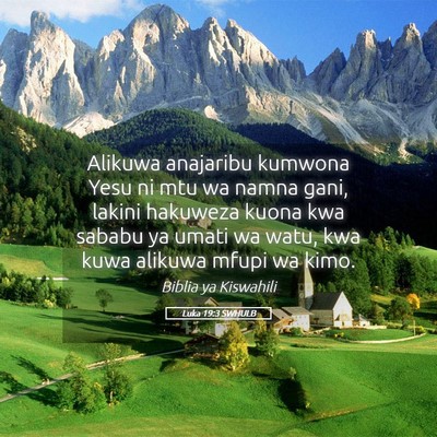 Picture 05 - Luka 19:3 SWHULB - Alikuwa anajaribu kumwona Yesu ni mtu wa namna - Bible Verse Picture